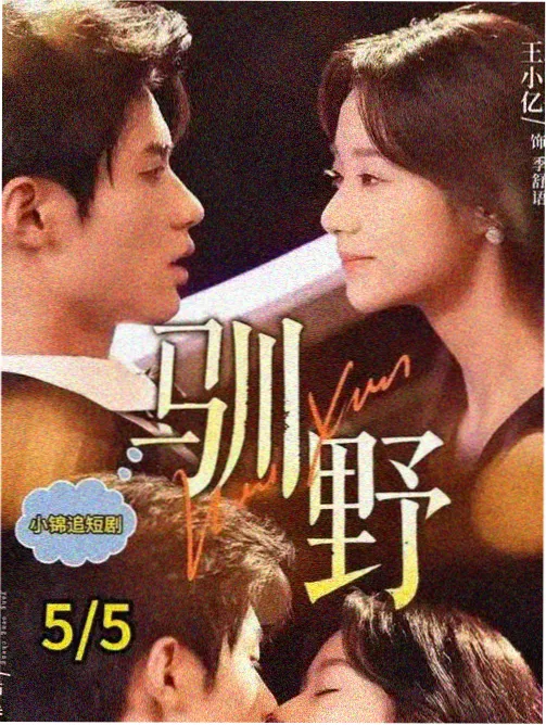 管家程序异常海报